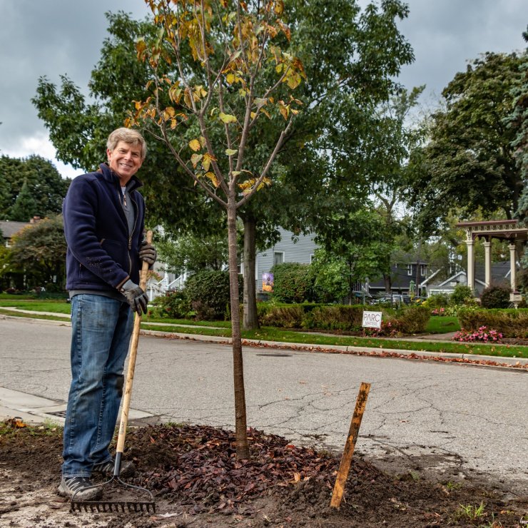 keep-plymouth-leafy-plymouth-michigan