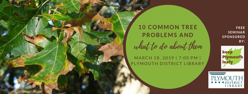 keep it plymouth leafy educational talk plymouth distric library.