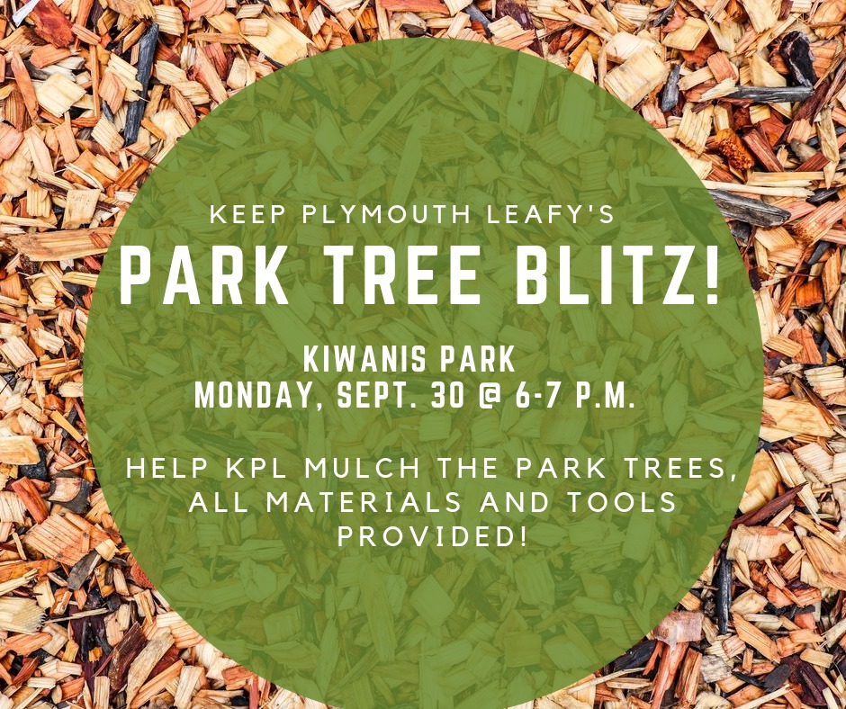 tree mulching plymouth michigan 